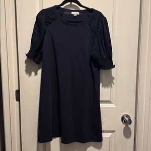 Calvin Klein Navy Blue Dress